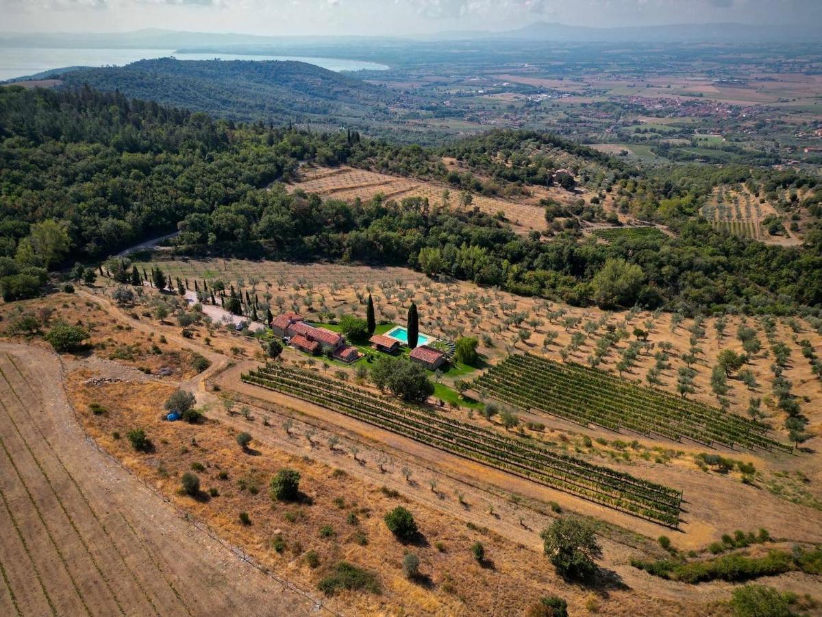 Вилла Tenuta Angelici Winery Agriturismo Henni With Pool Sauna And Jacuzzi Кортона Экстерьер фото